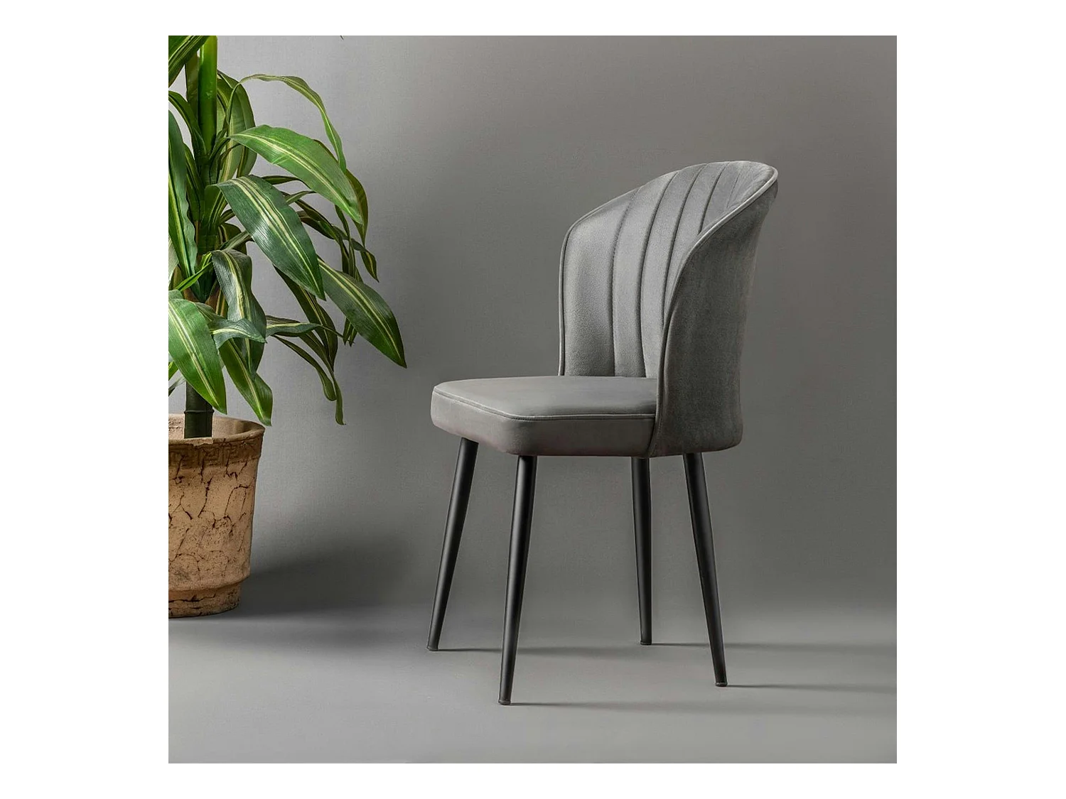 Chaise en velours gris - dossier enveloppant ROSARIO (Lot de 2)