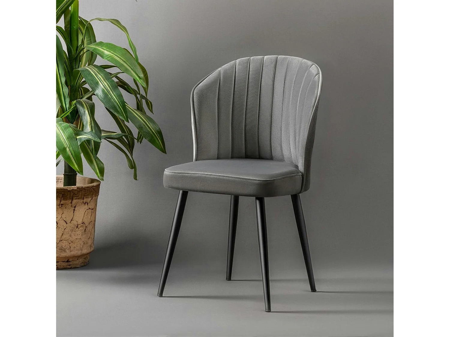 Chaise en velours gris - dossier enveloppant ROSARIO (Lot de 2)