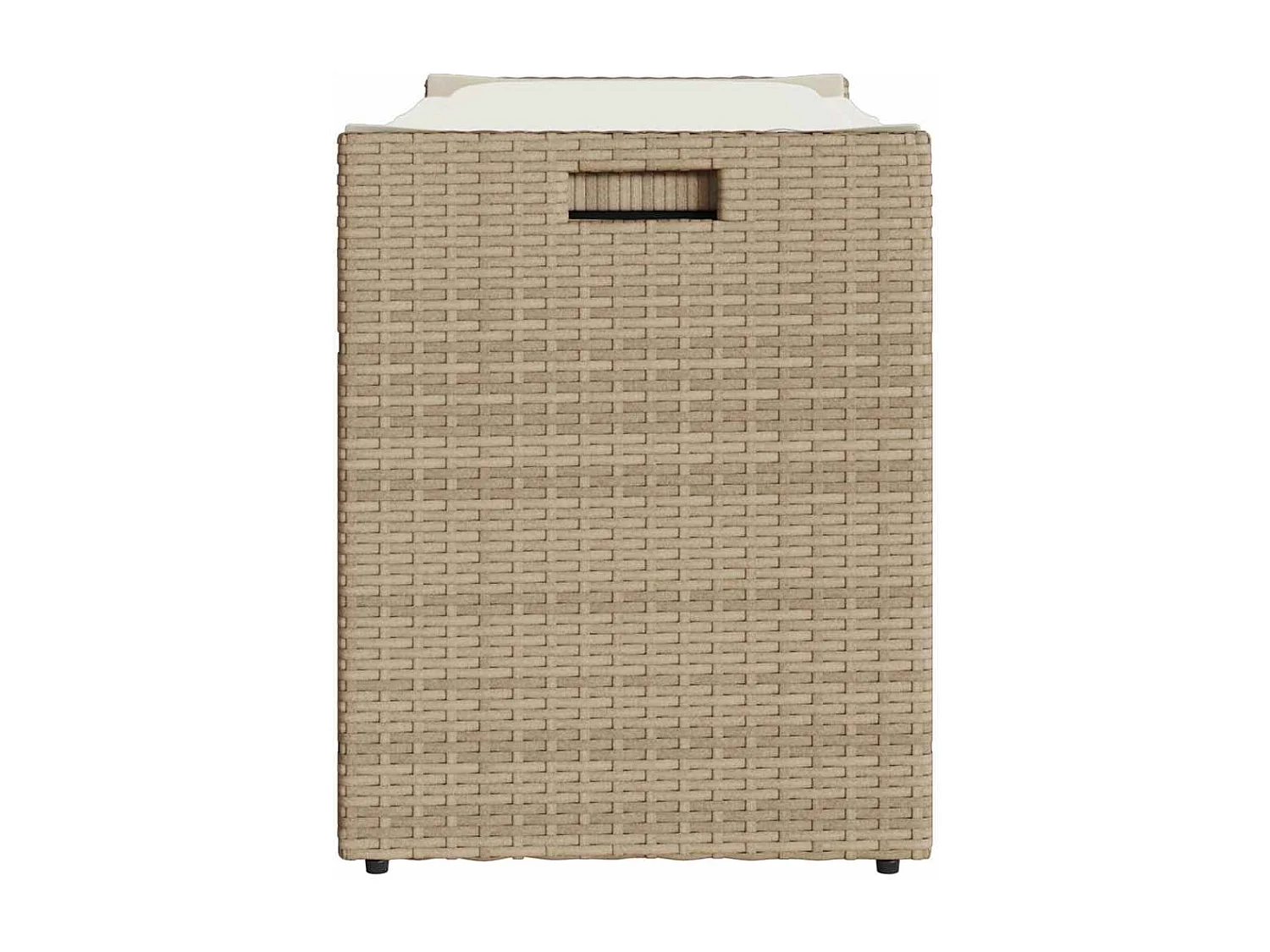 Opbergbank met kussen voor buiten 100 cm poly rattan beige