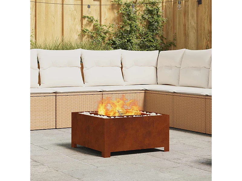 Foyer de cheminée Marron 60 x 60 x 30 cm Acier patiné