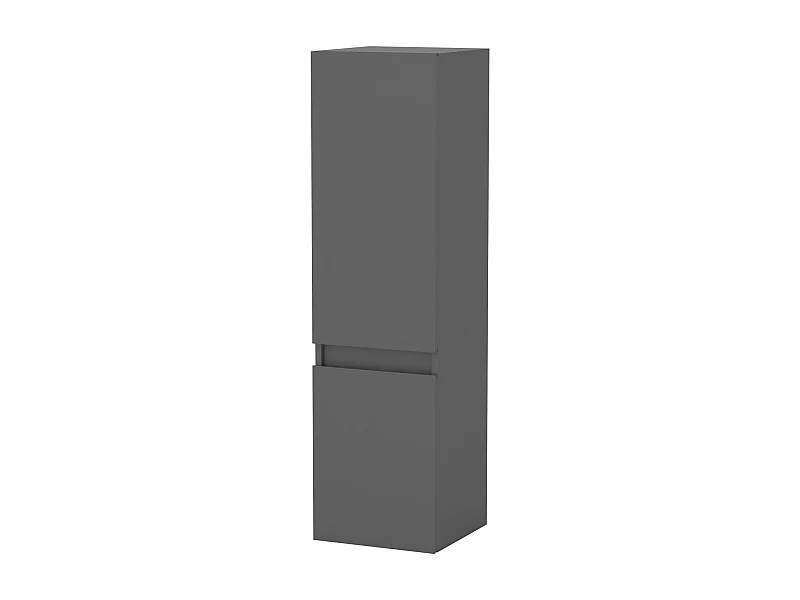 AICA Colonne de Salle de Bain Haute avec 2 Porte, Compartiment,30x30x110cm Anthracite