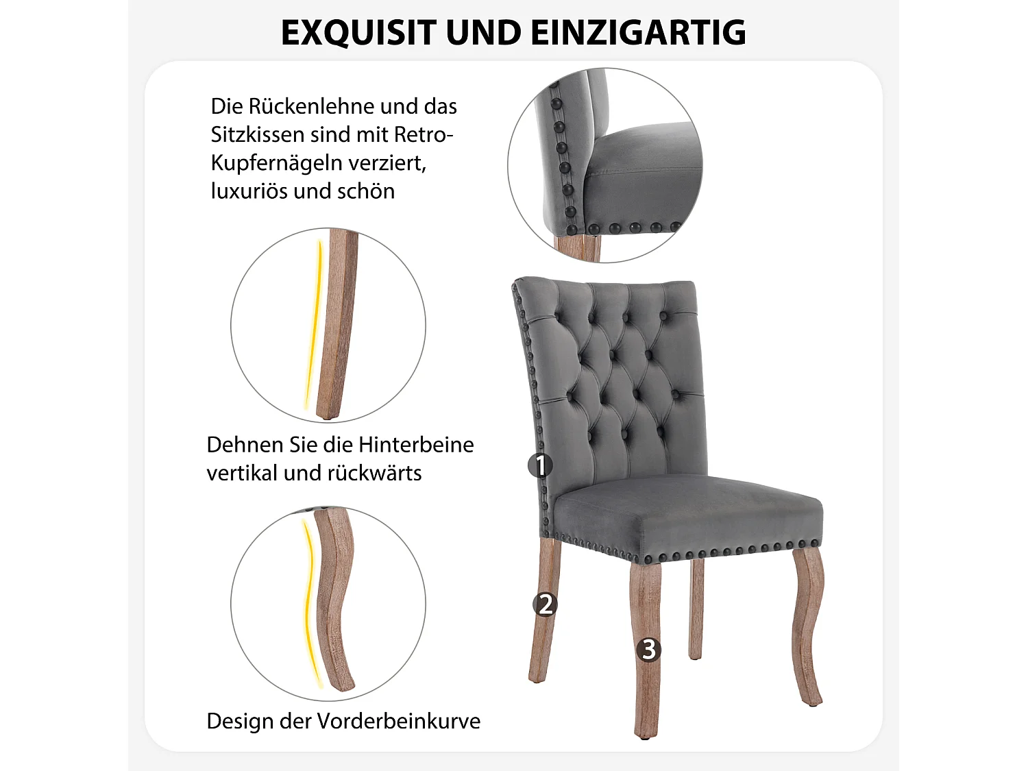 Set di 6 sedie da pranzo, sedia imbottita con finiture a borchie, gambe in legno massello, rivestimento in velluto, grigio, con design a batacchio