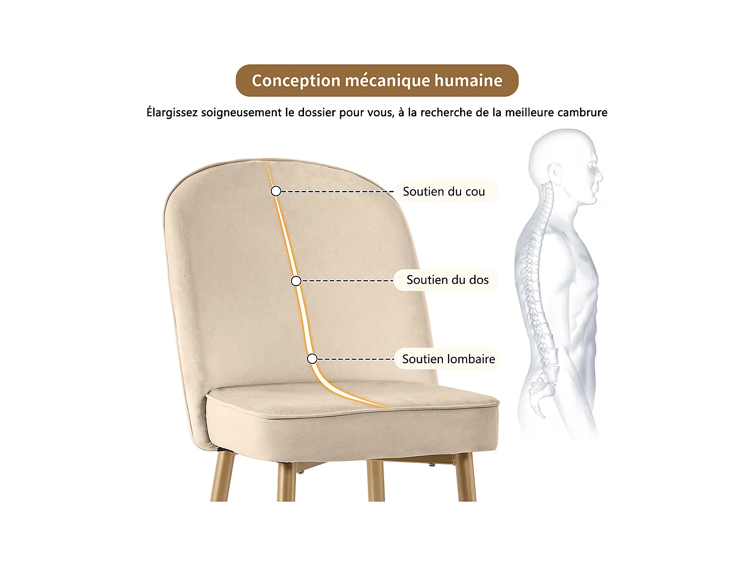 Ensemble de 4 chaises de salle à manger, chaises de salle à manger modernes en velours, pieds en métal doré, beige
