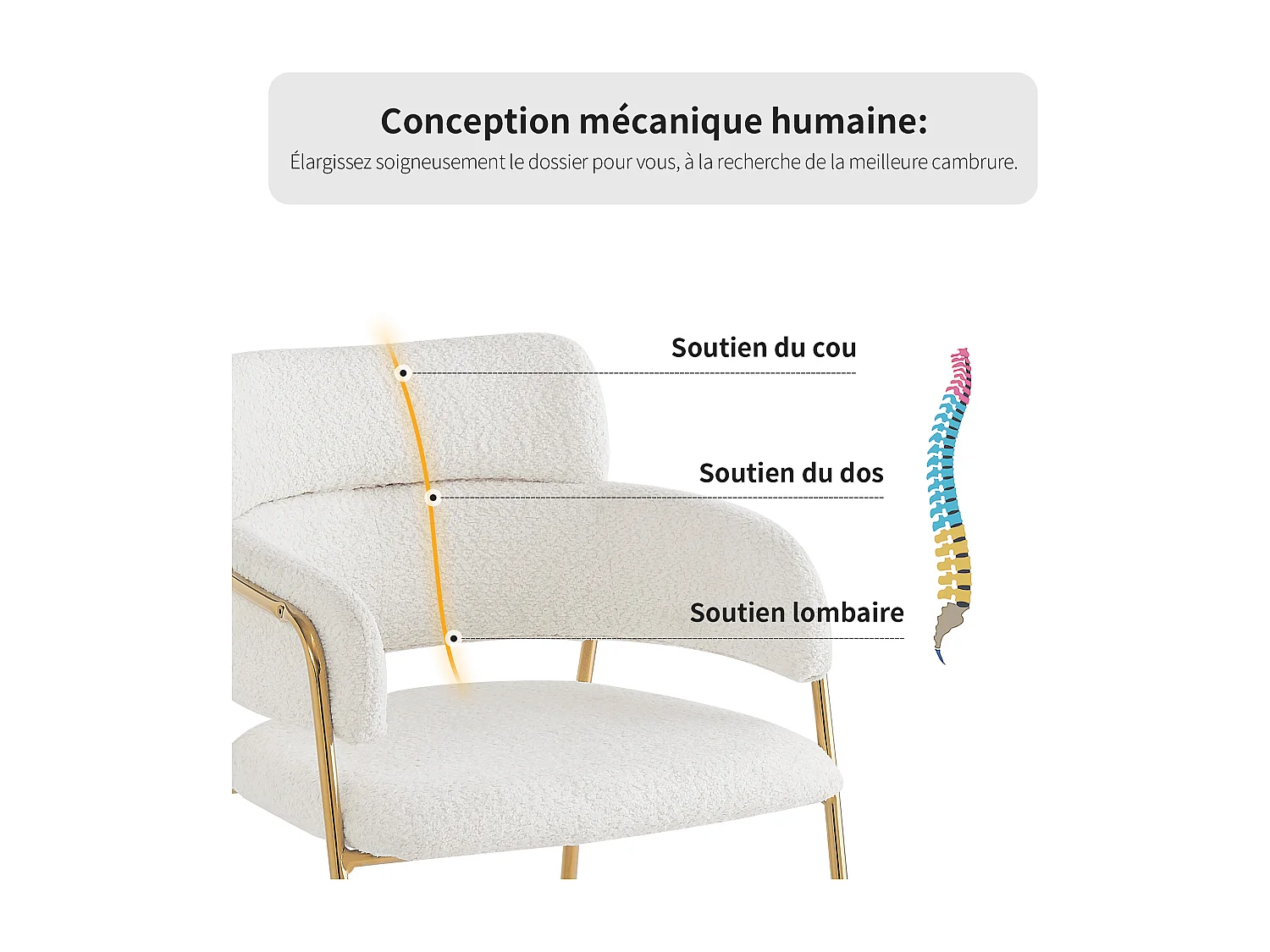 Set van 2 eetkamerstoelen, modern met gouden poten, ergonomische, luxe stoel, beige