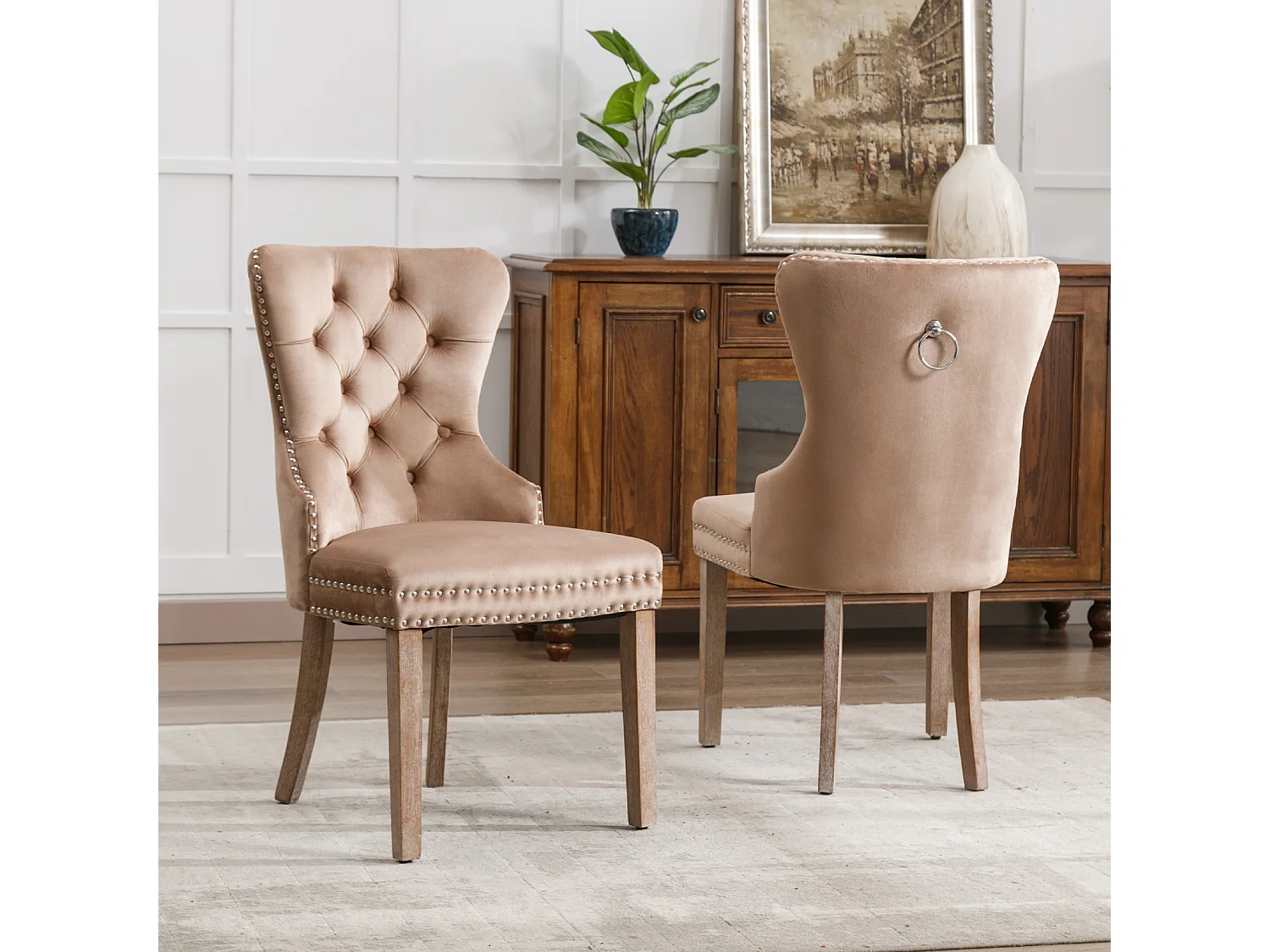 Set di 2 sedie da pranzo, sedia imbottita con finiture a borchie, gambe in legno massello, rivestimento in velluto, marrone, con design a batacchio