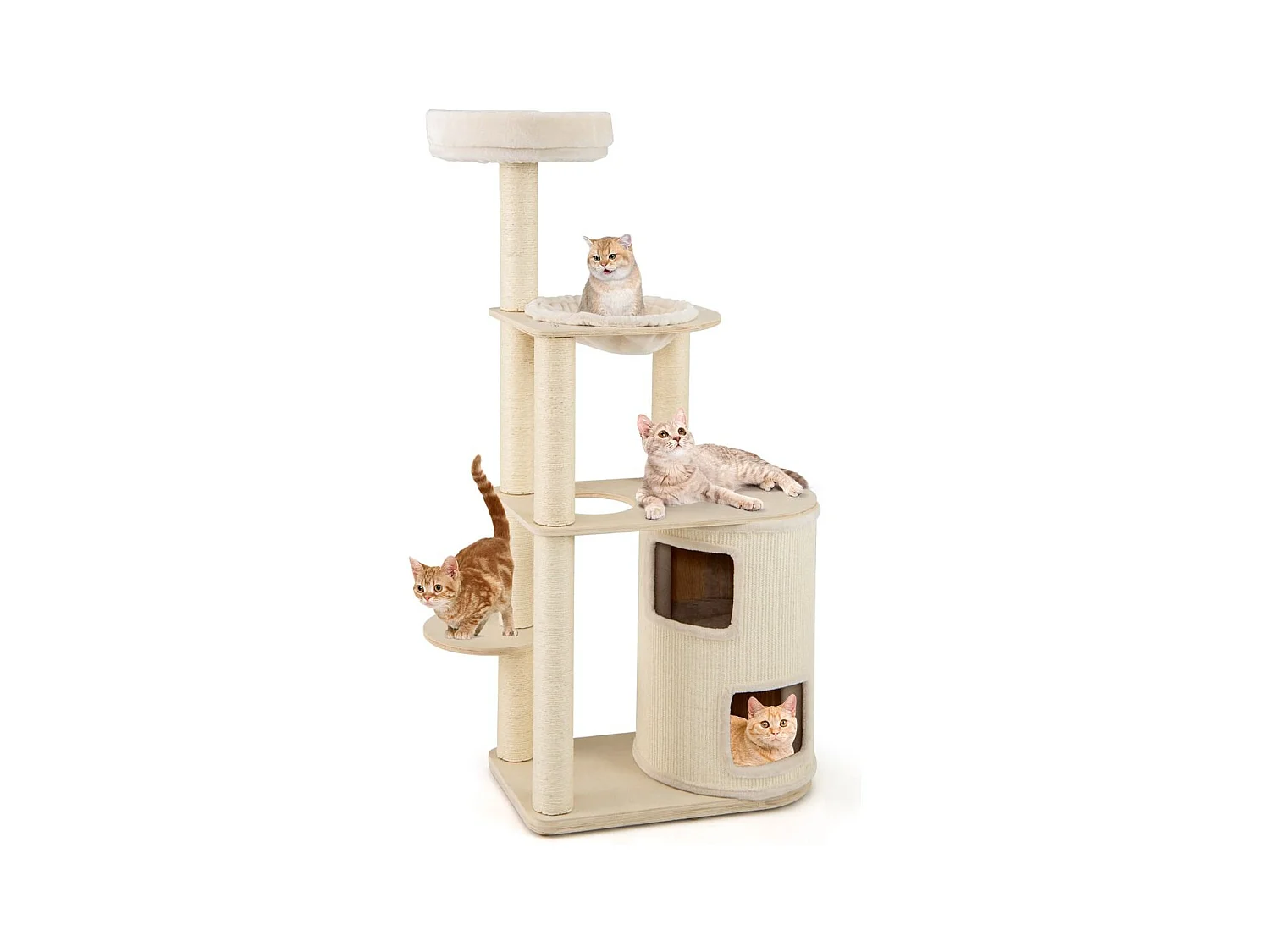 Albero per gatti 151 cm con condo a 2 piani, Torre multi - livello con accessori per gatti da interno