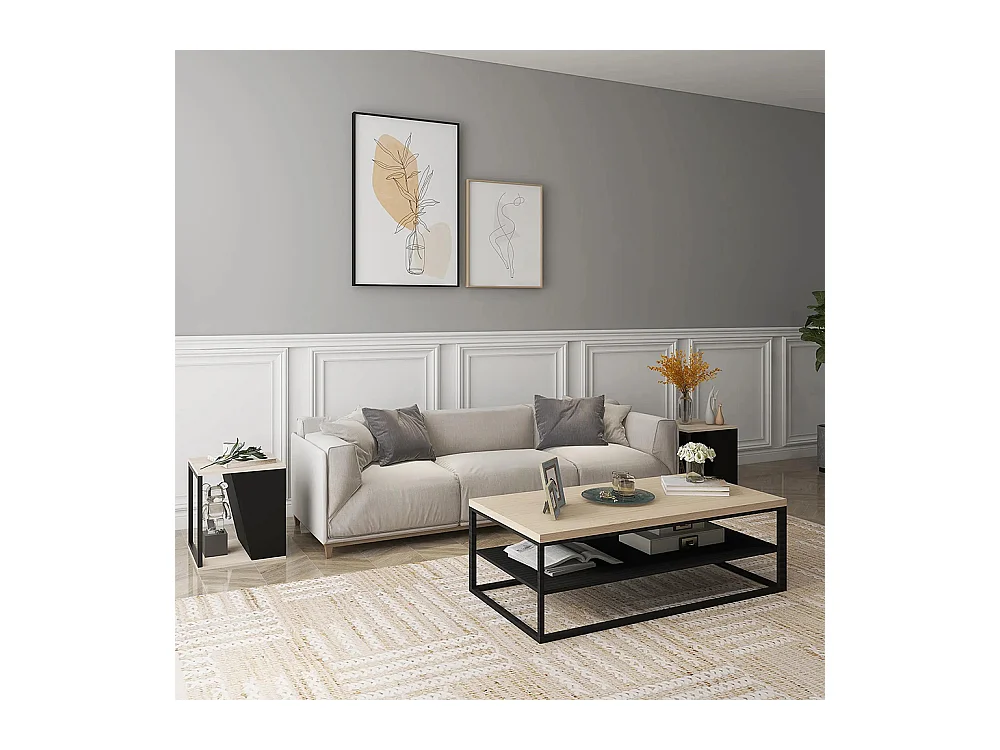 Lot de 2 tables d'appoint bout de canapé avec rangement structure en acier 40 x 40 x 45 cm noir et naturel