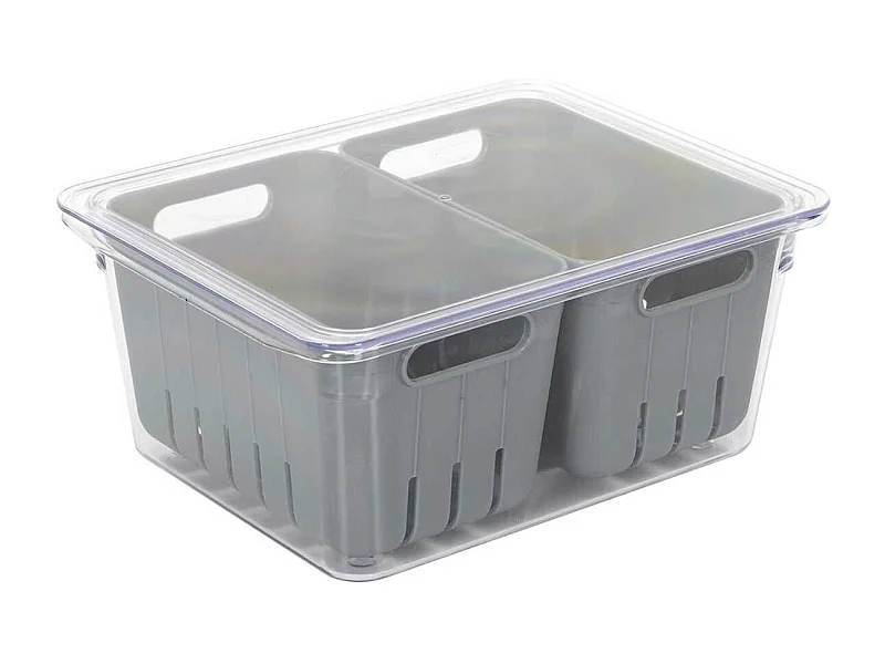 Boite de conservation transparente avec 2 bacs amovibles gris