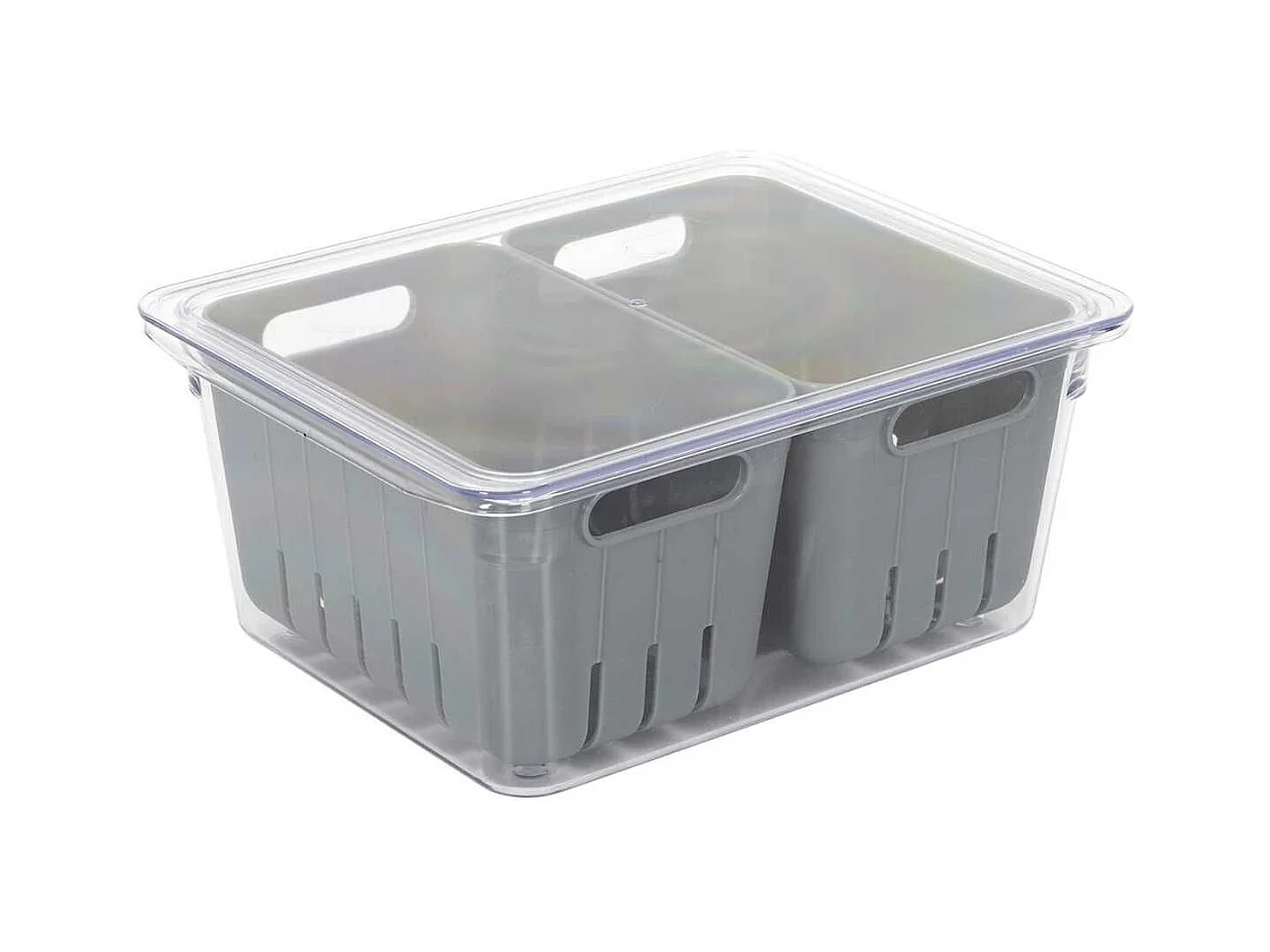 Boite de conservation transparente avec 2 bacs amovibles gris