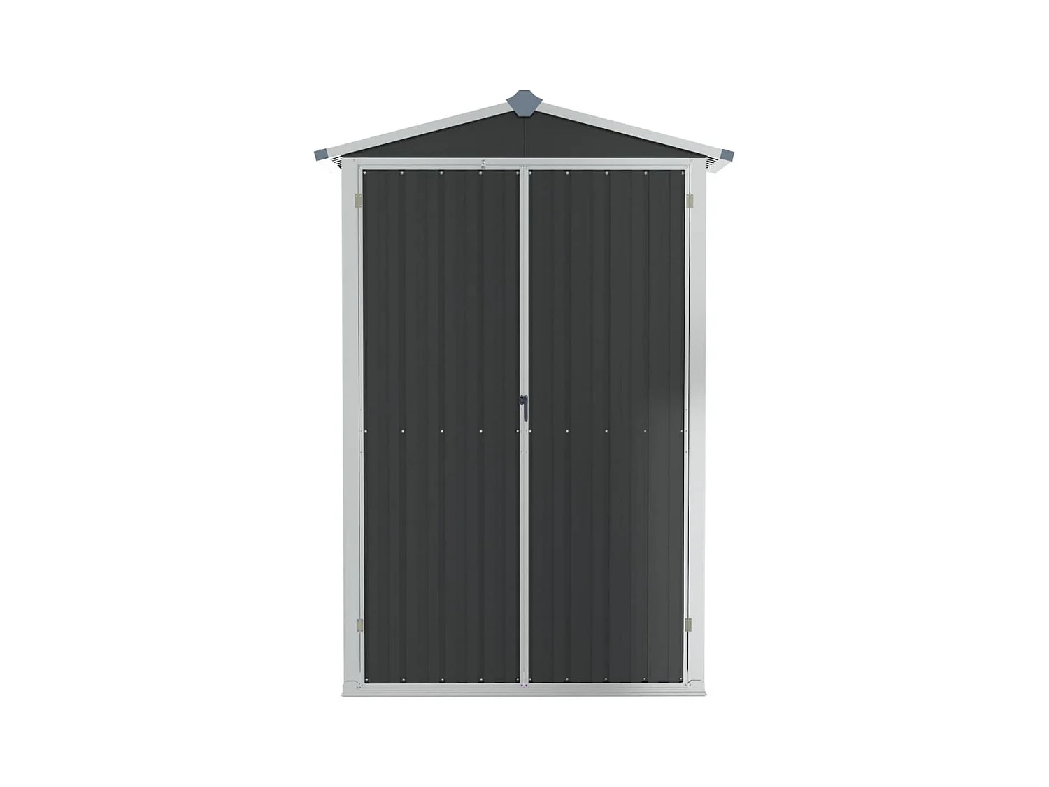 Orvault  Abri de jardin Anthracite 116x45x175 cm Acier galvanisé