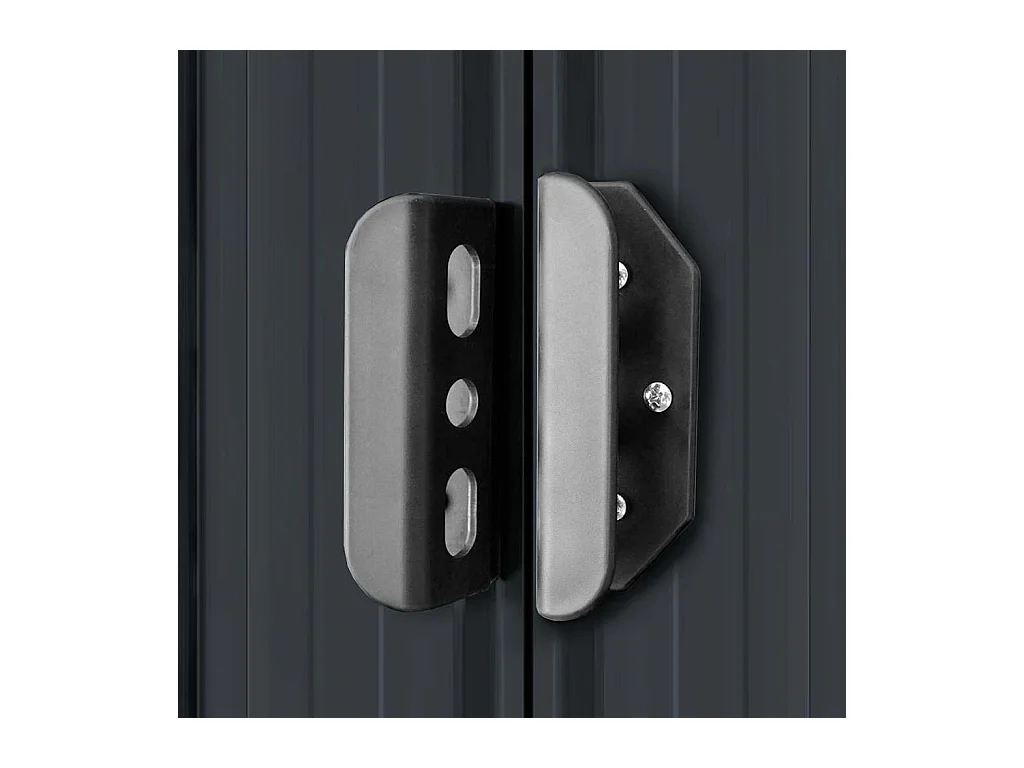 Seland  Abri de jardin Anthracite Acier