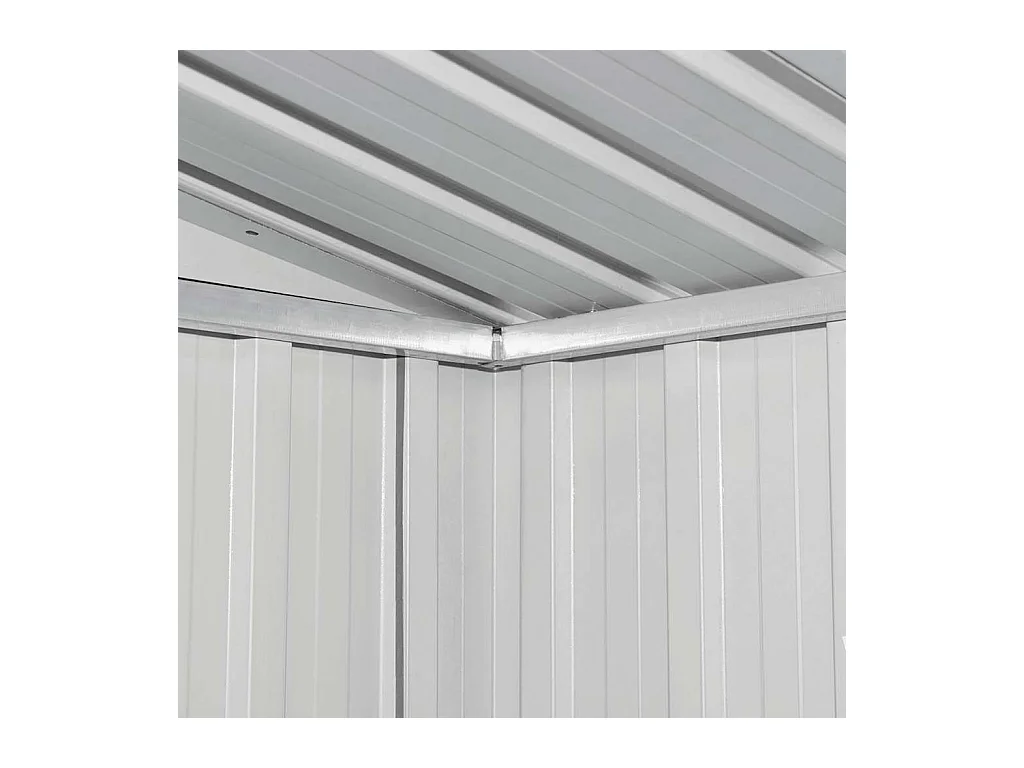 Seland  Abri de jardin Anthracite Acier