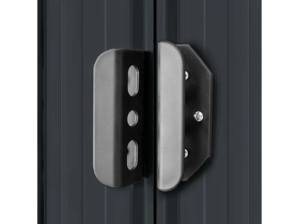 Seland  Abri de jardin Anthracite Acier