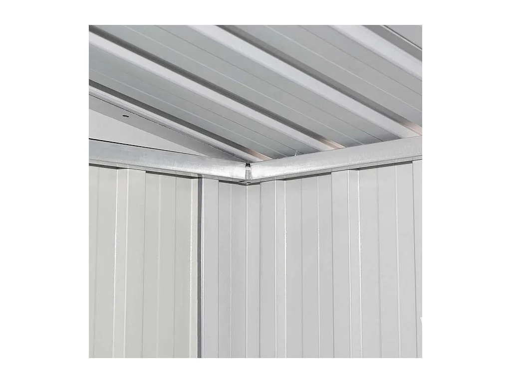 Seland  Abri de jardin Métal Vert