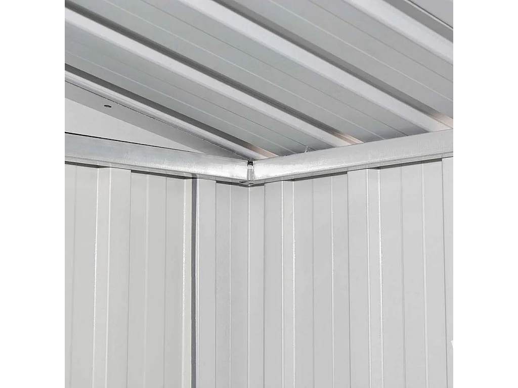 Seland  Abri de jardin Métal Vert