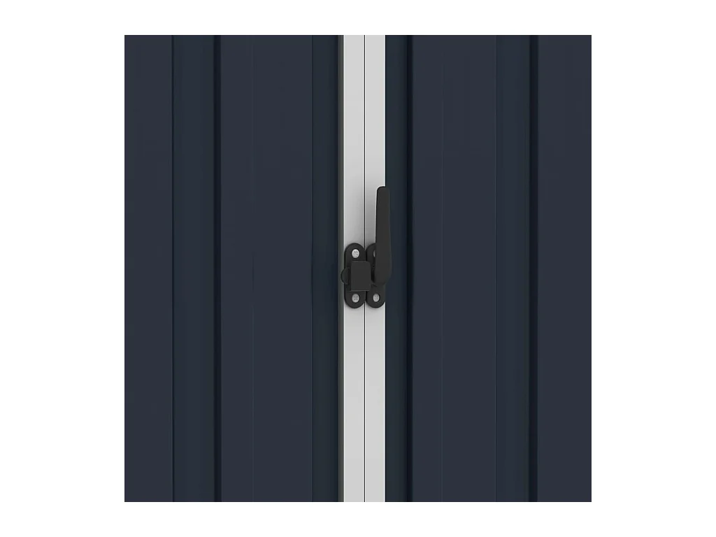 Iisakki  Abri de jardin Anthracite 205x129x183 cm Acier galvanisé