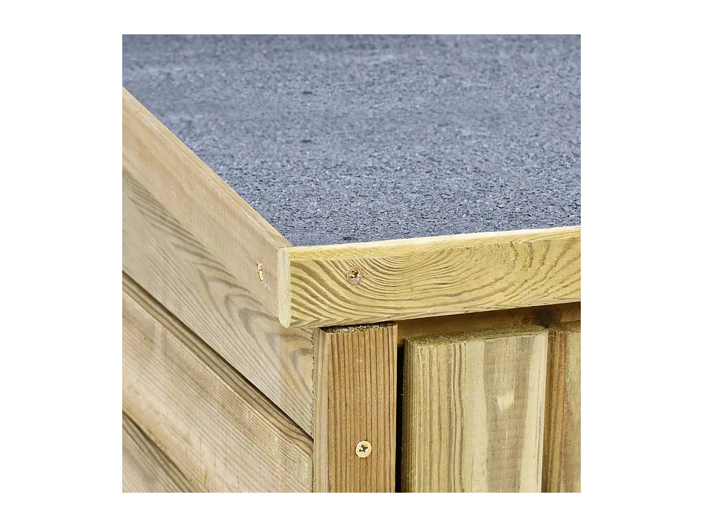 Arja  Abri à outils de jardin 163x50x171 cm Pinède imprégnée