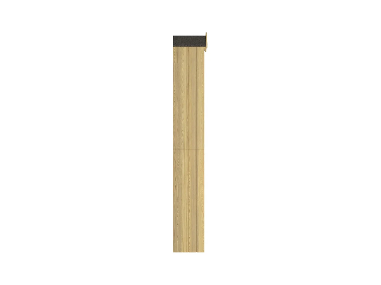 Timothée-Philippe  Abri à outils de jardin 40x33x222 cm Bois de pin imprégné