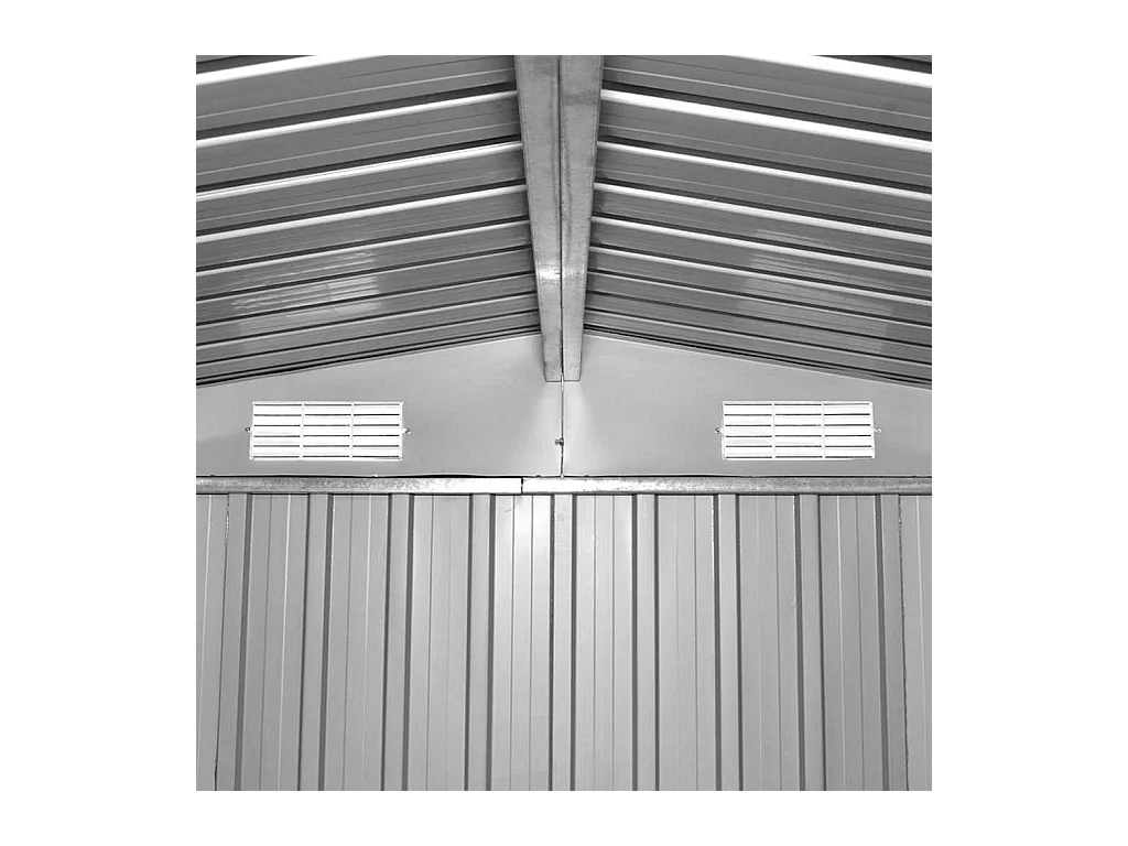 Zulema  Abri de jardin 257x298x178 cm Métal Vert