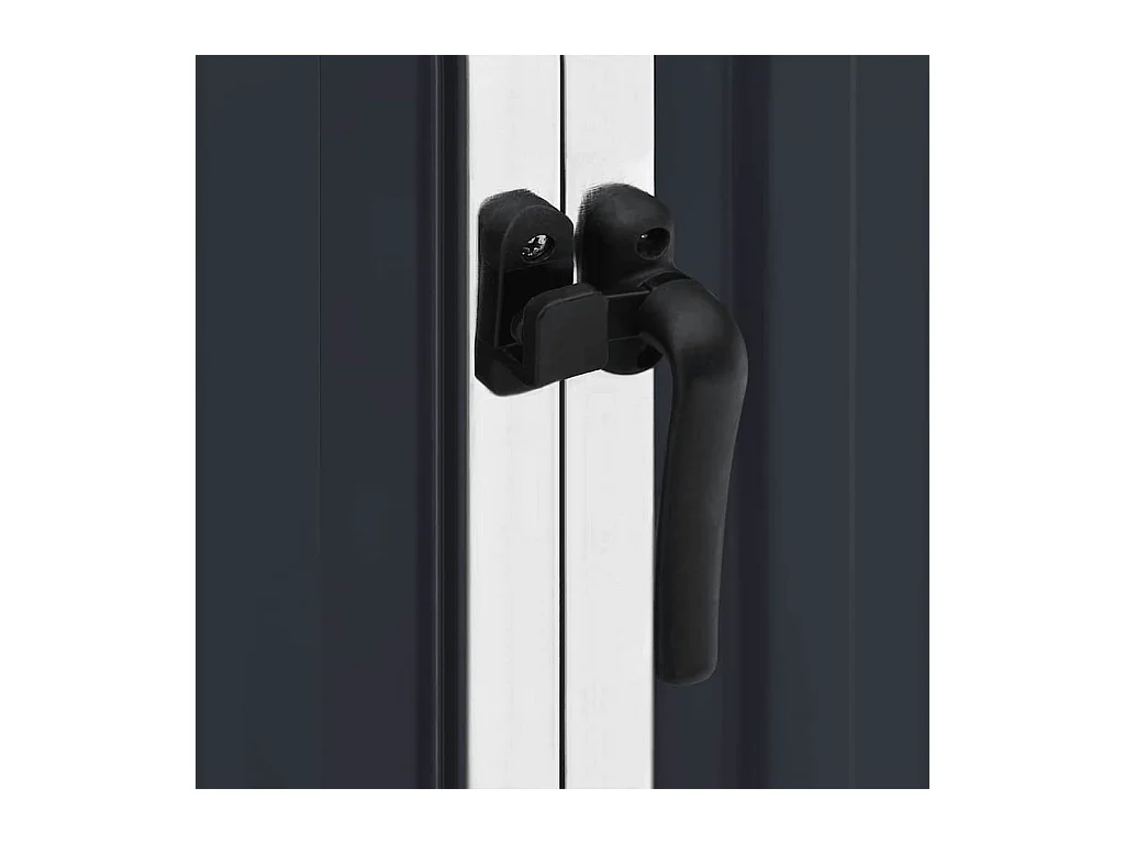 Alum Creek  Abri de jardin Anthracite 195x198x159 cm Acier galvanisé