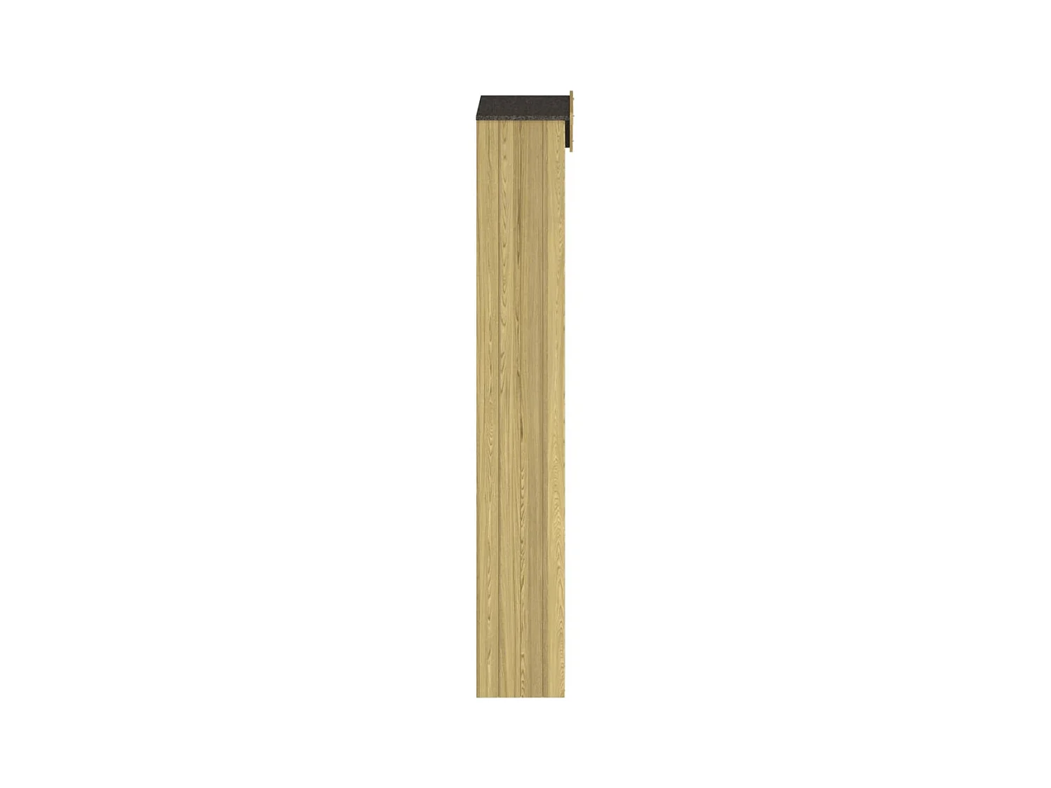 Timothée-Philippe  Abri à outils de jardin 87x33x222 cm Bois de pin imprégné
