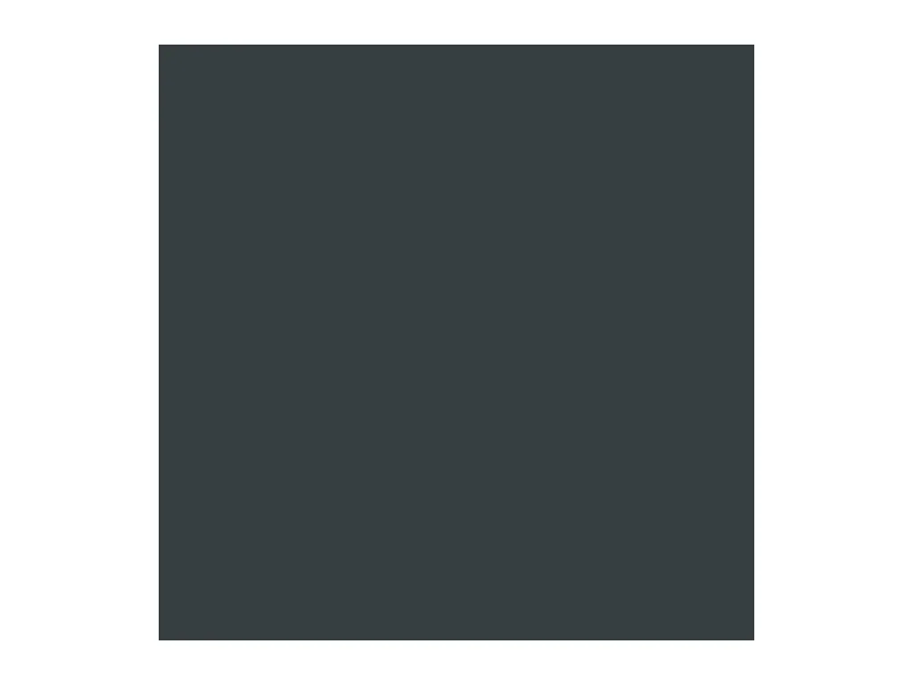 Klavs  Abri de jardin avec toit prolongé anthracite 277x107x181 cm