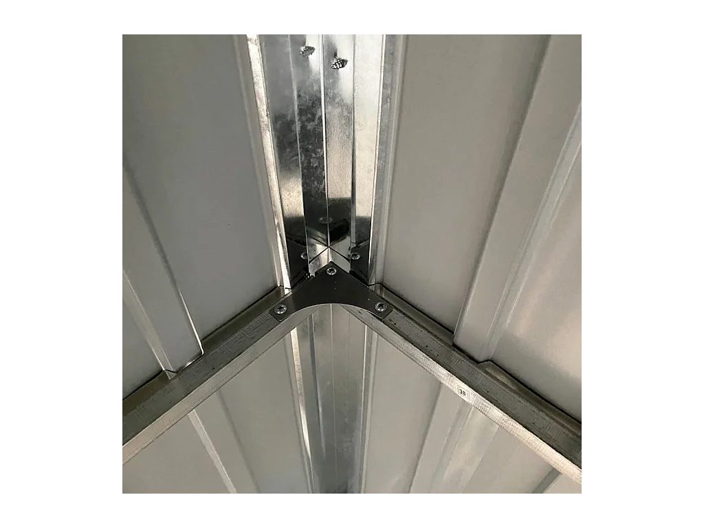 Klavs  Abri de jardin avec toit prolongé vert 277x107x181 cm acier