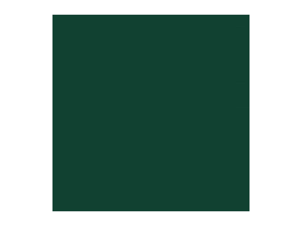 Klavs  Abri de jardin avec toit prolongé vert 277x107x181 cm acier