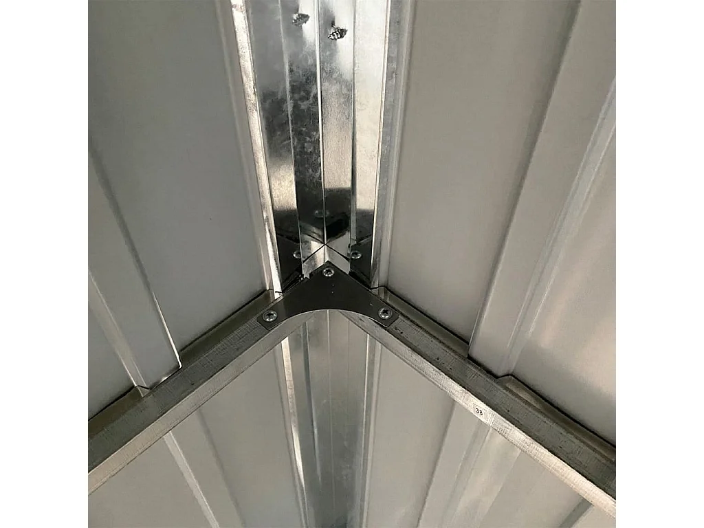 Klavs  Abri de jardin avec toit prolongé vert 277x107x181 cm acier