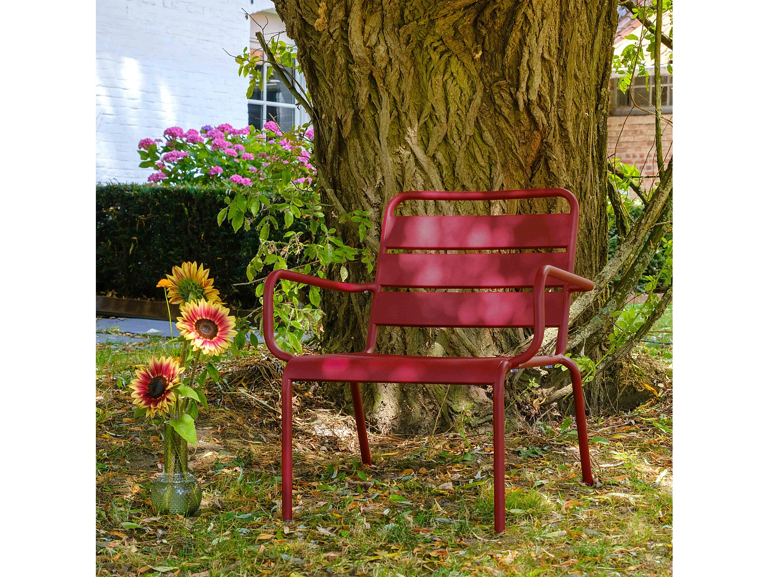 Fauteuil de jardin bas relax acier pourpre - Palavas