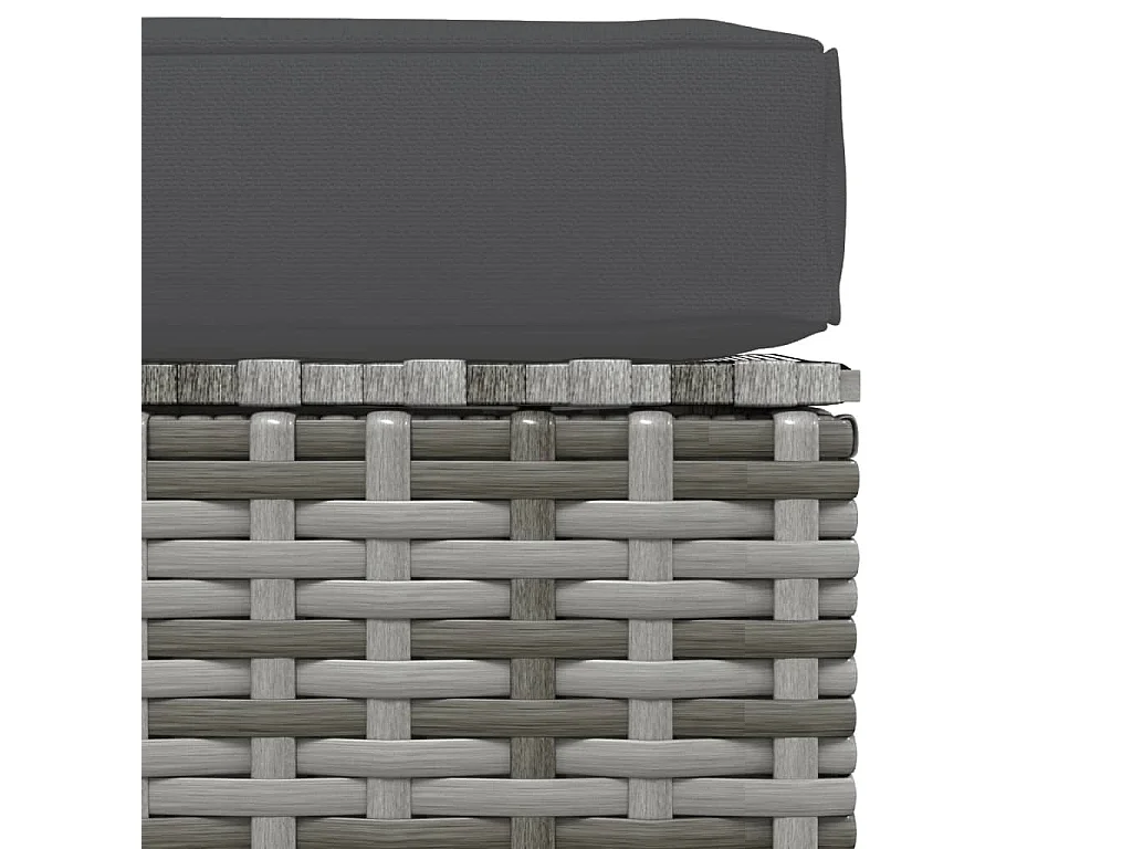 Layla Hope  Repose-pied de jardin et coussin Gris 70x70x30cm Résine tressée
