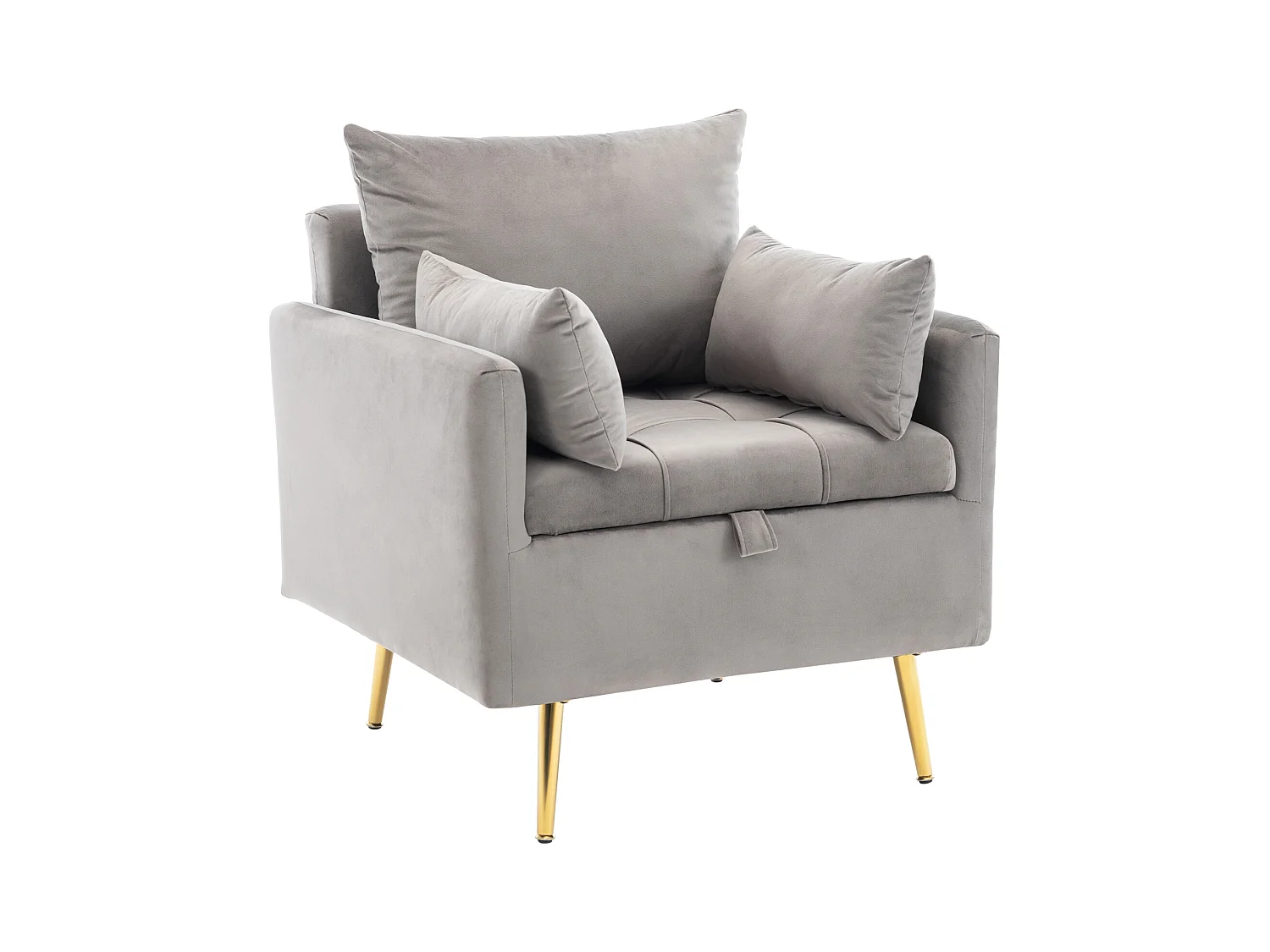 Moderne fluwelen fauteuil met opbergruimte, inclusief sierkussens, gouden metalen poten, minimalistische loungestoel met armleuningen voor de woonkamer