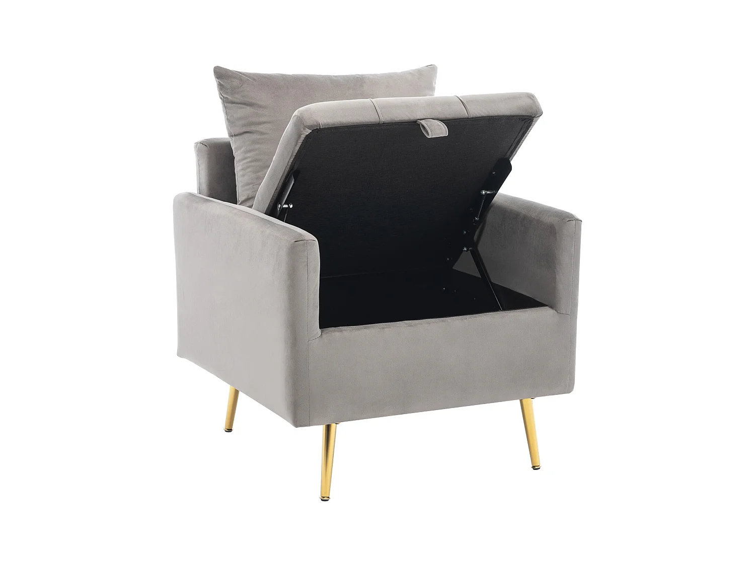 Moderne fluwelen fauteuil met opbergruimte, inclusief sierkussens, gouden metalen poten, minimalistische loungestoel met armleuningen voor de woonkamer