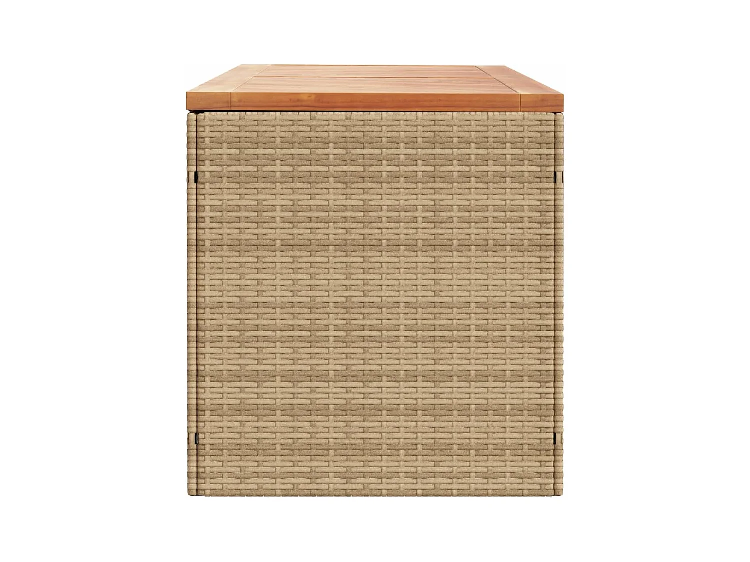 Marly  Boîte de rangement de jardin beige résine tressée bois d'acacia