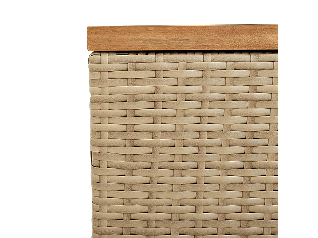 Marly  Boîte de rangement de jardin beige résine tressée bois d'acacia