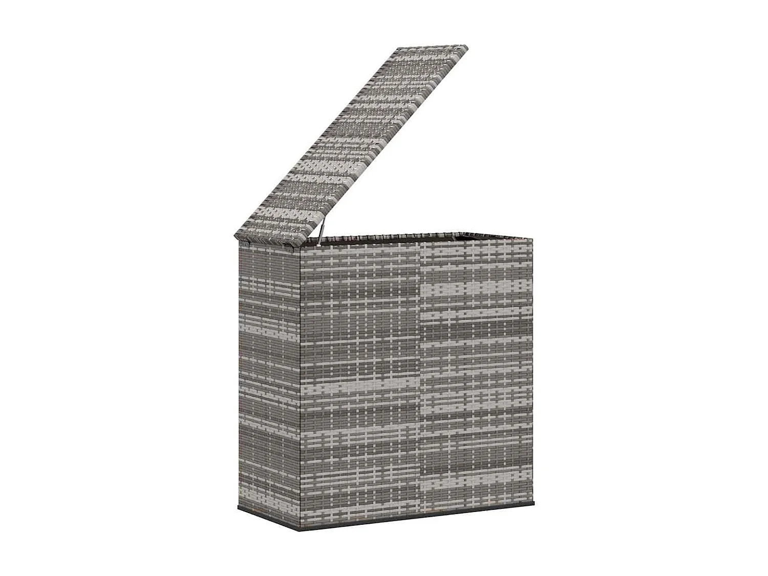 Evans  Boîte à coussins de jardin Résine tressée 100x49x103,5 cm Gris