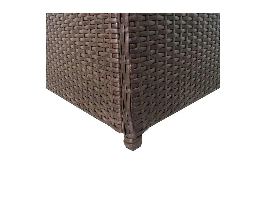 Gryris  Boîte de rangement de jardin marron 120x50x60 cm résine tressée