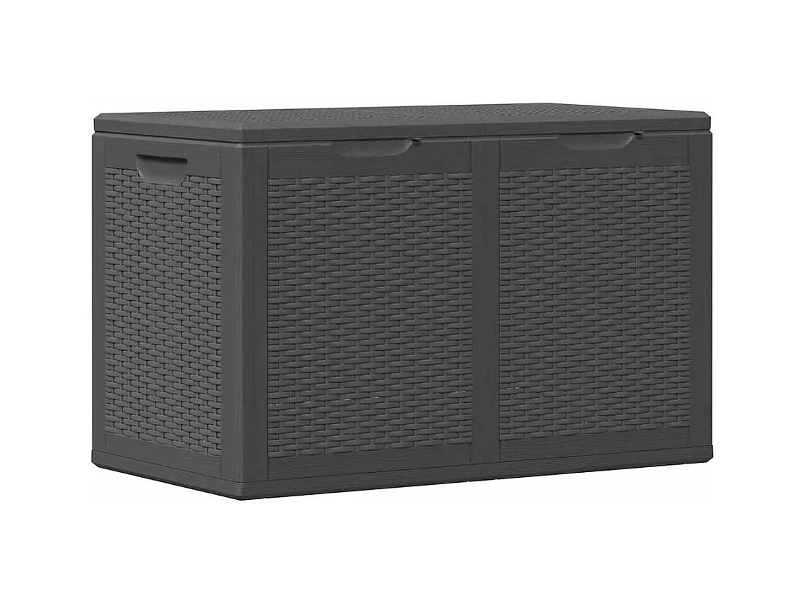 Drumkeeran  Boîte de rangement de jardin 180 L Noir PP Rotin