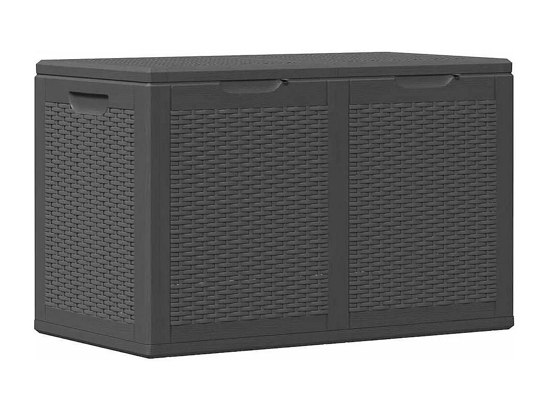 Drumkeeran  Boîte de rangement de jardin 180 L Noir PP Rotin