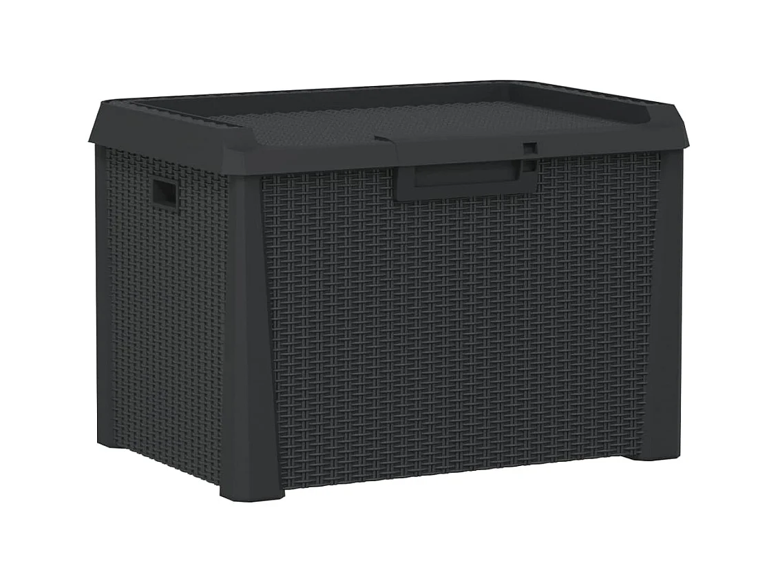 Ladue  Boîte de rangement de jardin anthracite 125 L PP