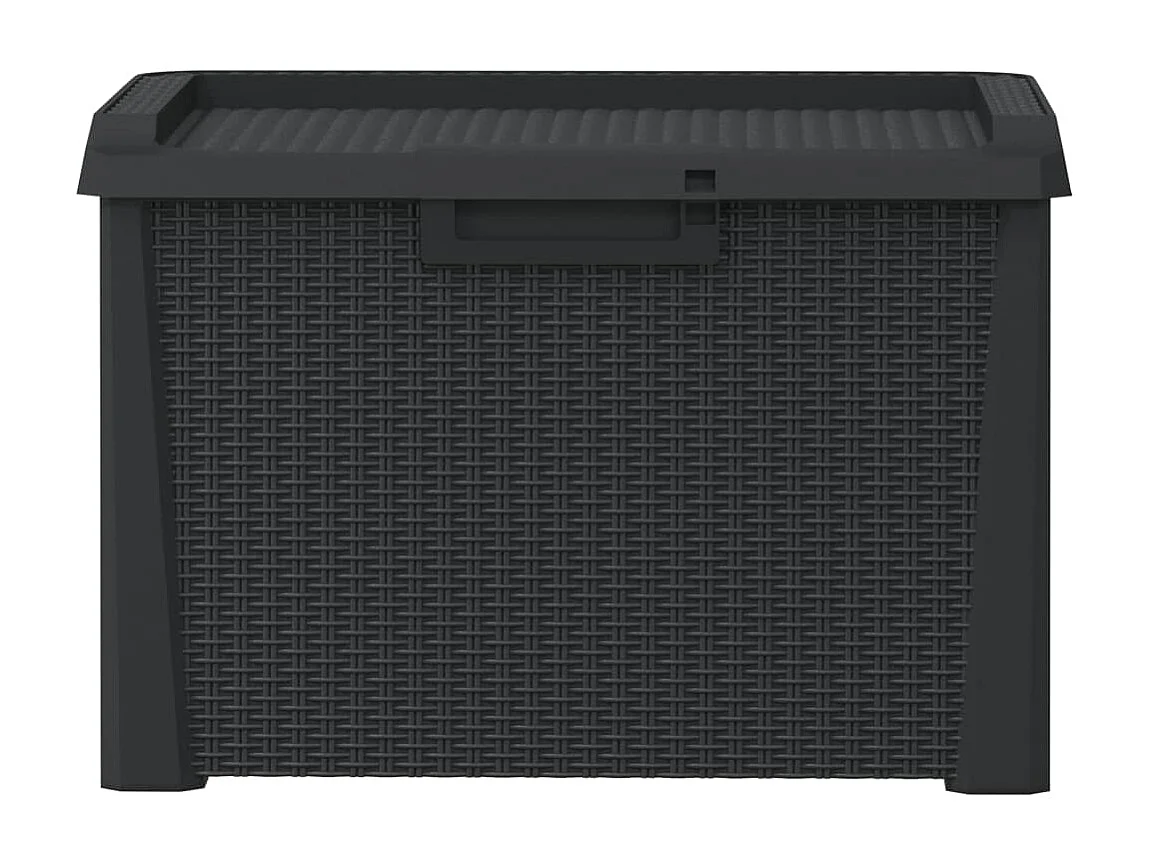 Ladue  Boîte de rangement de jardin anthracite 125 L PP