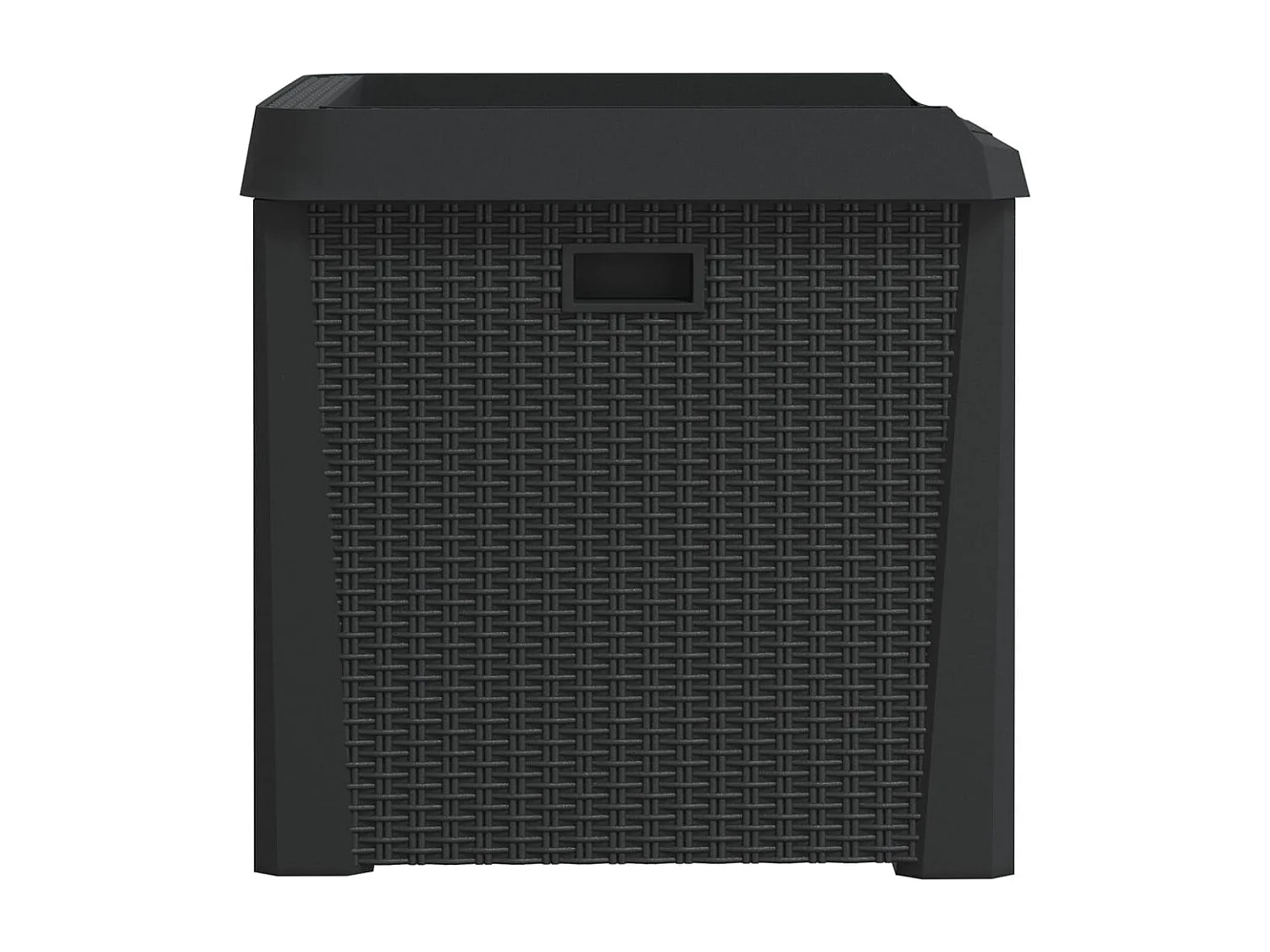 Ladue  Boîte de rangement de jardin anthracite 125 L PP