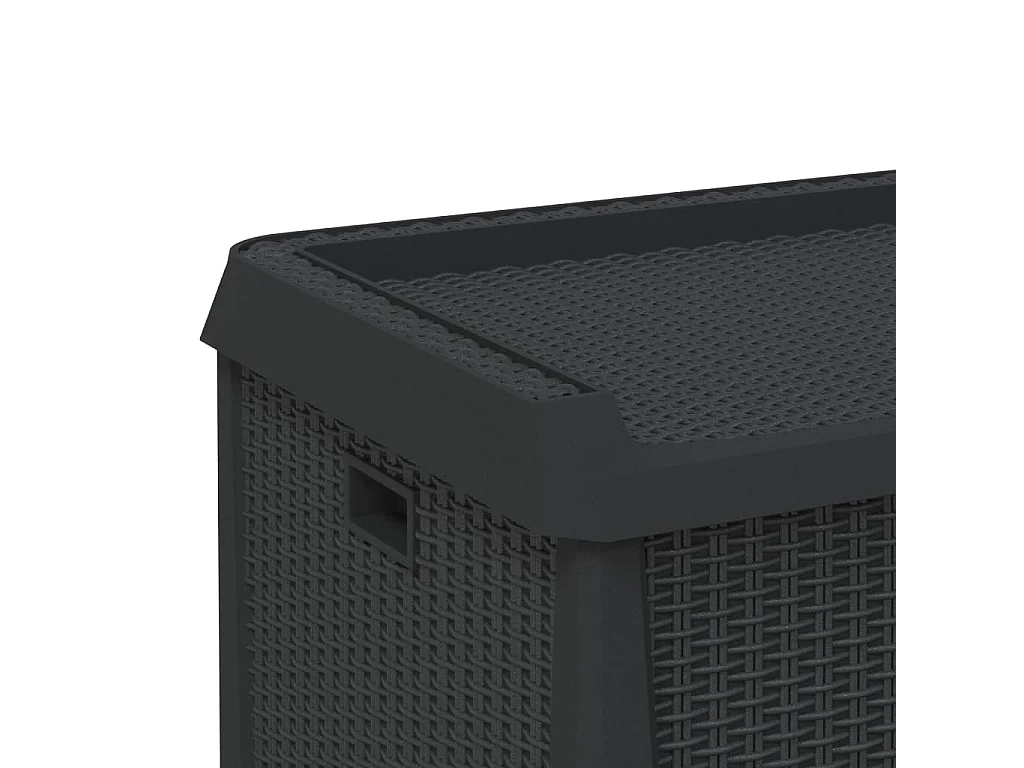 Ladue  Boîte de rangement de jardin anthracite 125 L PP