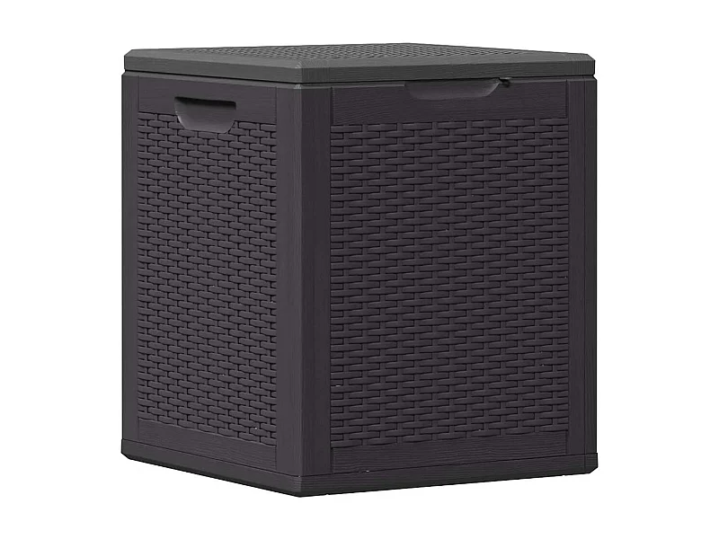 Drumkeeran  Boîte de rangement de jardin 90 L Noir PP Rotin