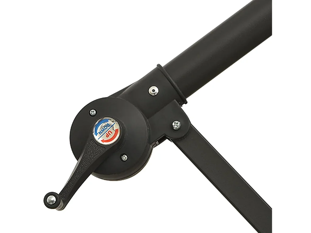 Carrickboy  Parasol de jardin en porte-à-faux avec lumières LED noir 350 cm