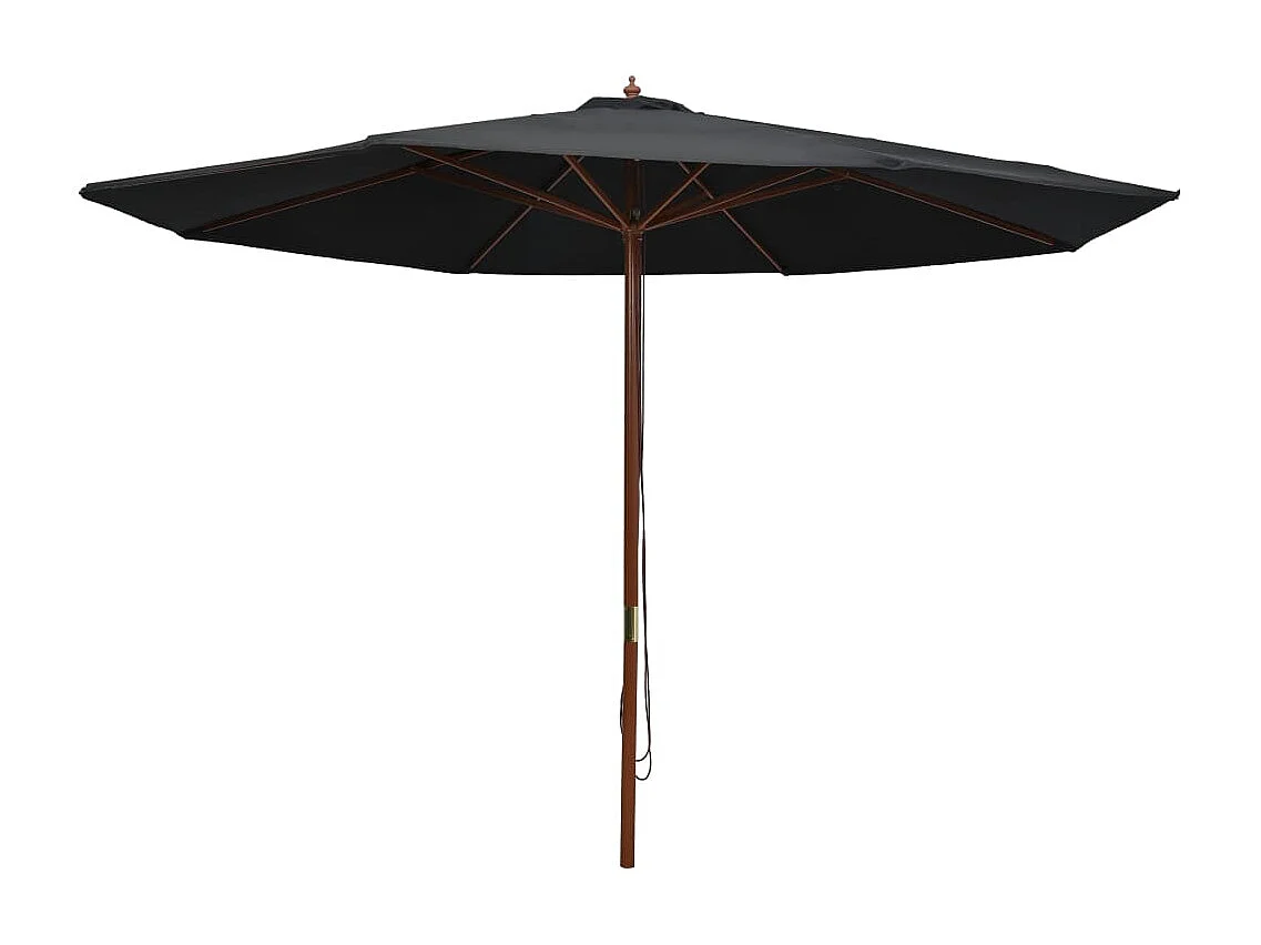 Hollywood  Parasol d'extérieur avec mât en bois 350 cm Noir