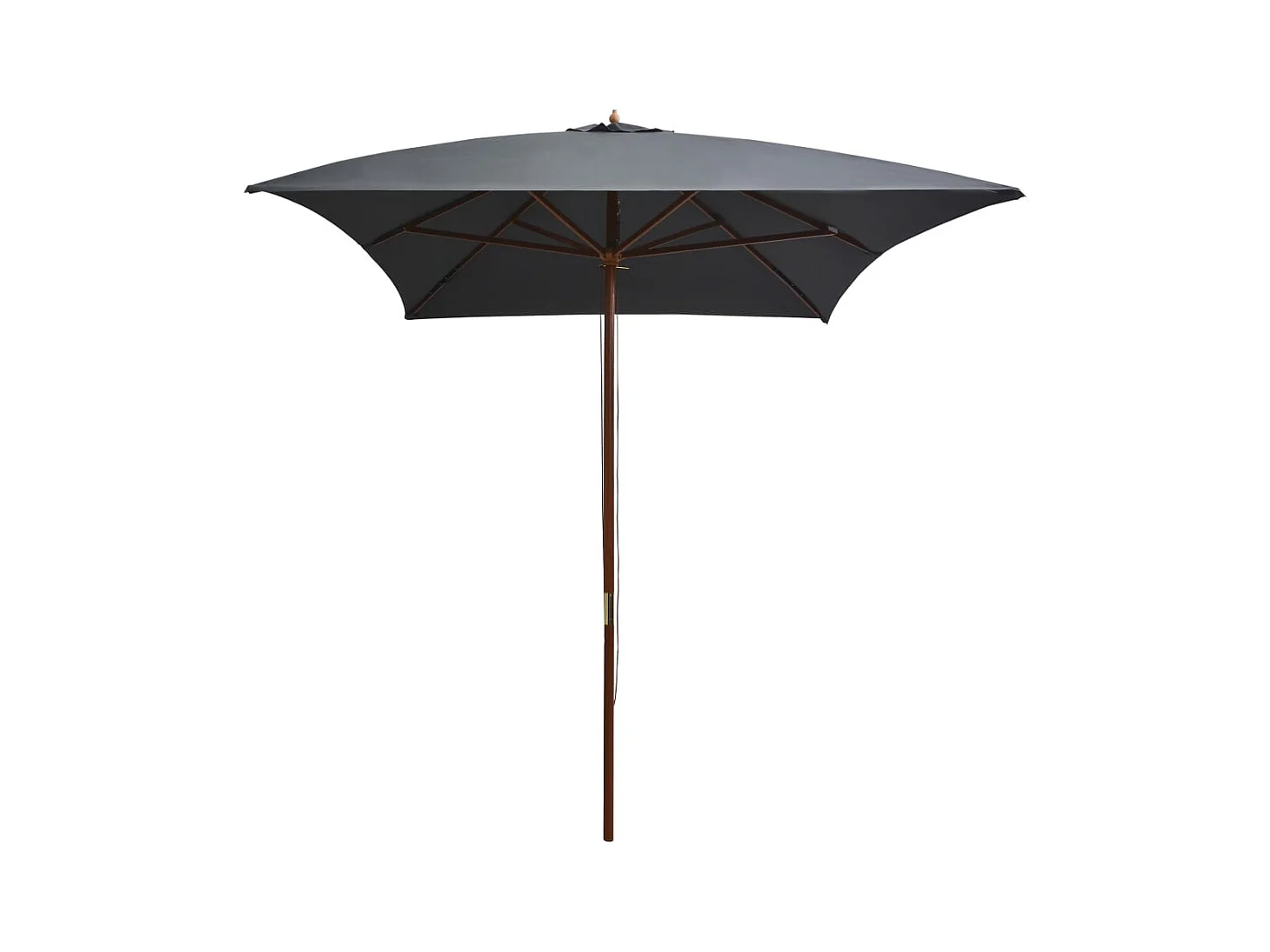 Isabel María  Parasol d'extérieur avec mât en bois 200x300 cm anthracite