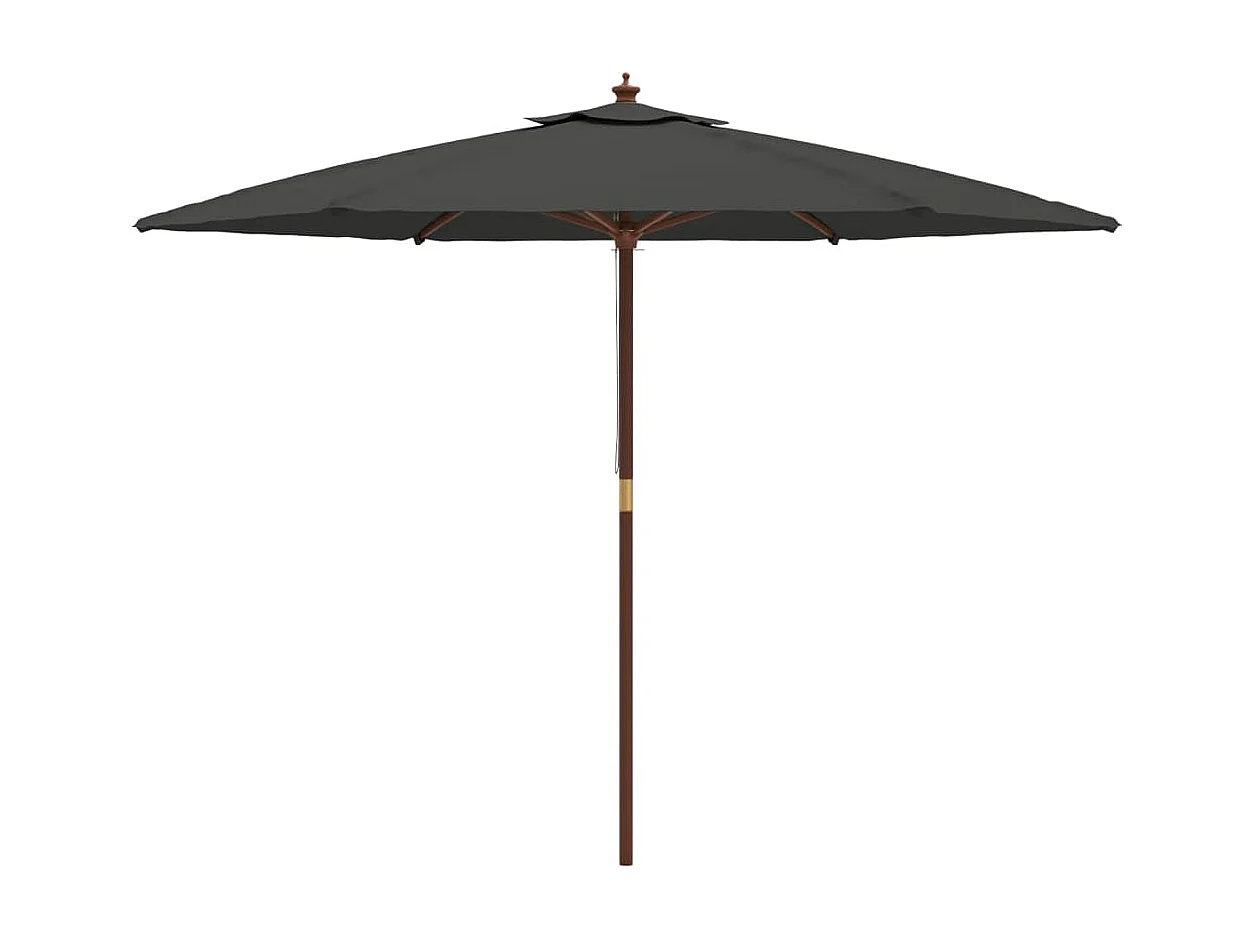 Sophie-Sandrine  Sombrilla jardín con poste de madera gris antracita 299x240 cm