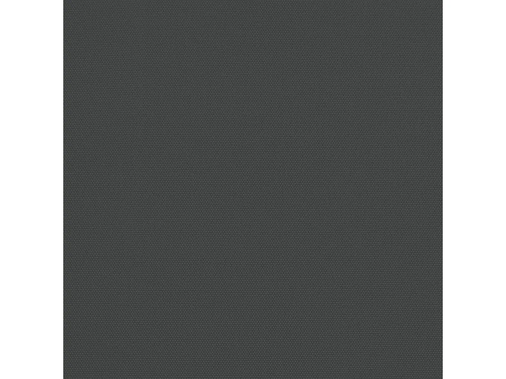 Sophie-Sandrine  Sombrilla jardín con poste de madera gris antracita 299x240 cm