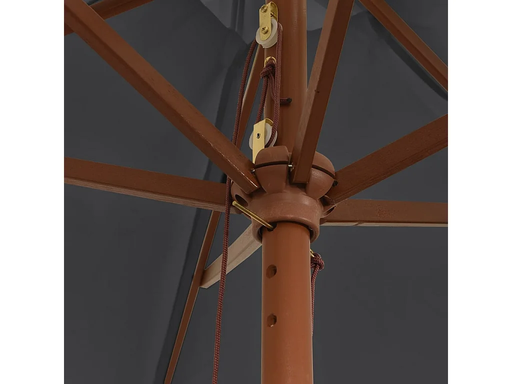 Sophie-Sandrine  Parasol met houten paal 299x240 cm zwart